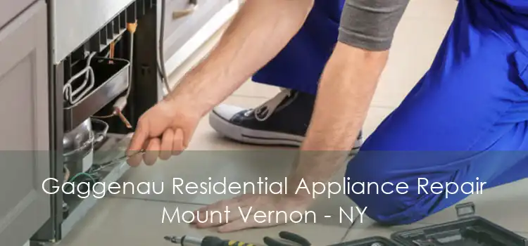 Gaggenau Residential Appliance Repair Mount Vernon - NY
