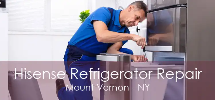 Hisense Refrigerator Repair Mount Vernon - NY