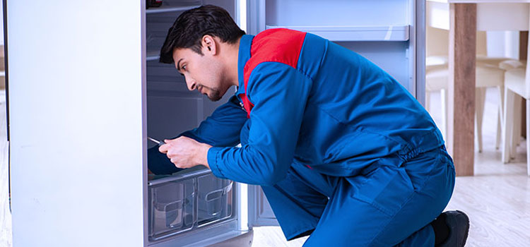 Cove Freezer Repair Services in Mount Vernon, New York