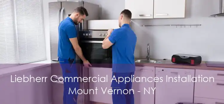 Liebherr Commercial Appliances Installation Mount Vernon - NY