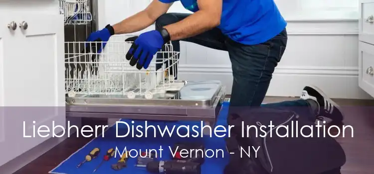 Liebherr Dishwasher Installation Mount Vernon - NY