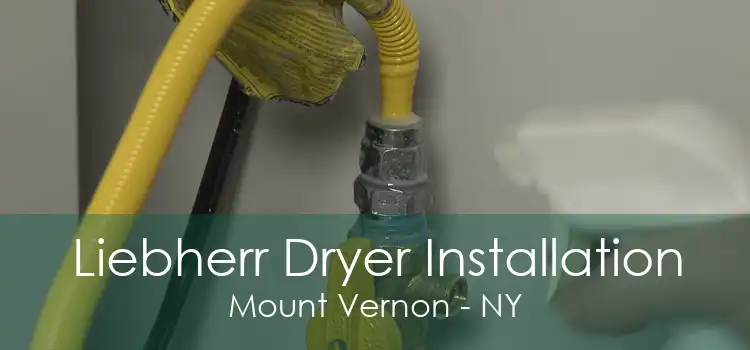 Liebherr Dryer Installation Mount Vernon - NY