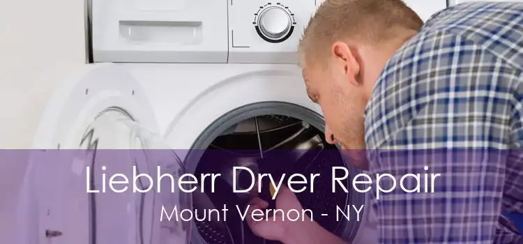 Liebherr Dryer Repair Mount Vernon - NY