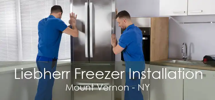 Liebherr Freezer Installation Mount Vernon - NY