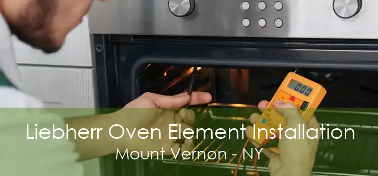 Liebherr Oven Element Installation Mount Vernon - NY