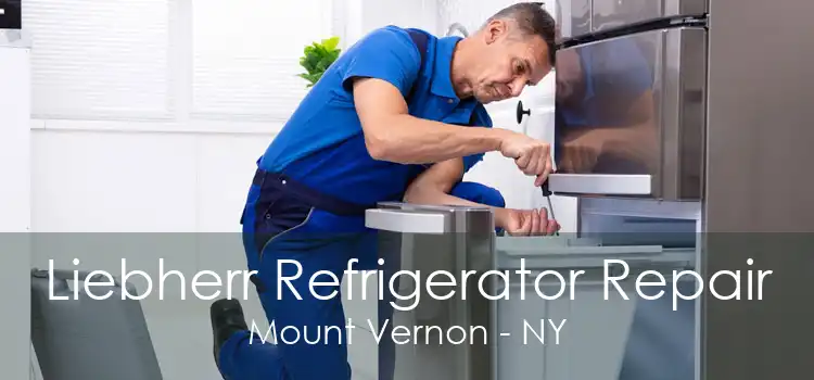 Liebherr Refrigerator Repair Mount Vernon - NY