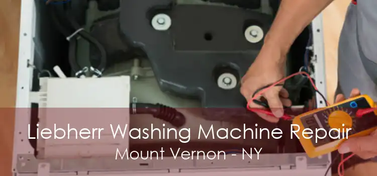 Liebherr Washing Machine Repair Mount Vernon - NY