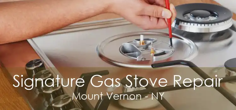 Signature Gas Stove Repair Mount Vernon - NY