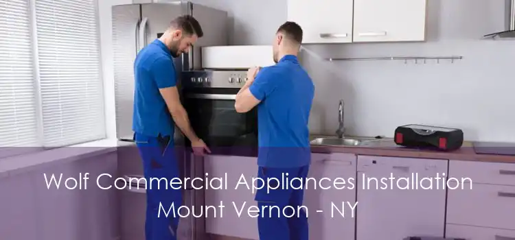 Wolf Commercial Appliances Installation Mount Vernon - NY