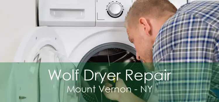 Wolf Dryer Repair Mount Vernon - NY